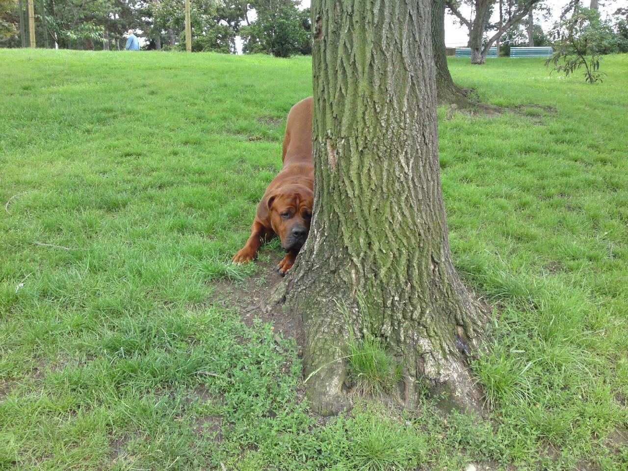 Foto: Gorb�k, jako brank��