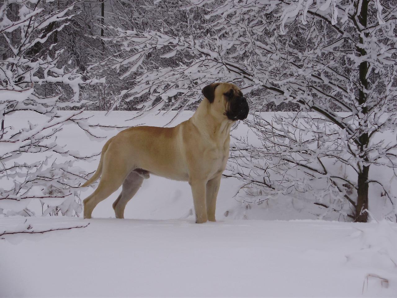 Foto: Gordon Nad�je ze Zvole