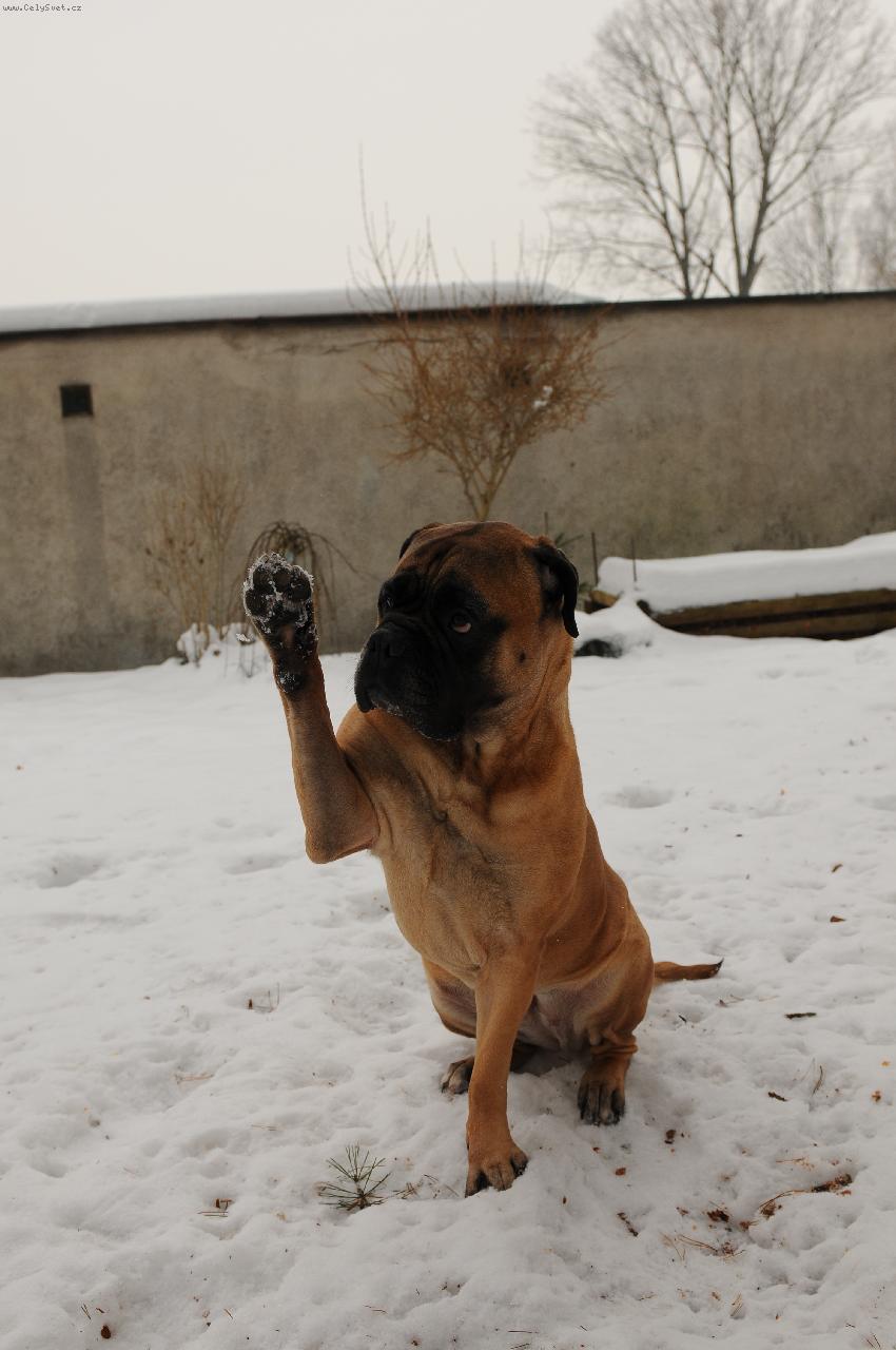 Foto: Odettka-pros���m