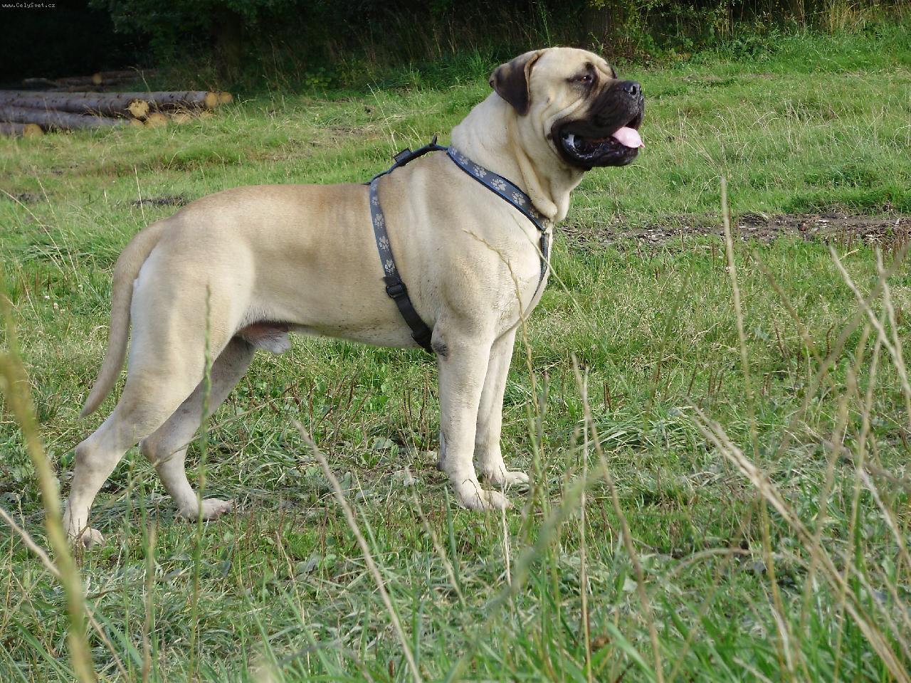 Foto: GORDON Nad�je ze Zvole