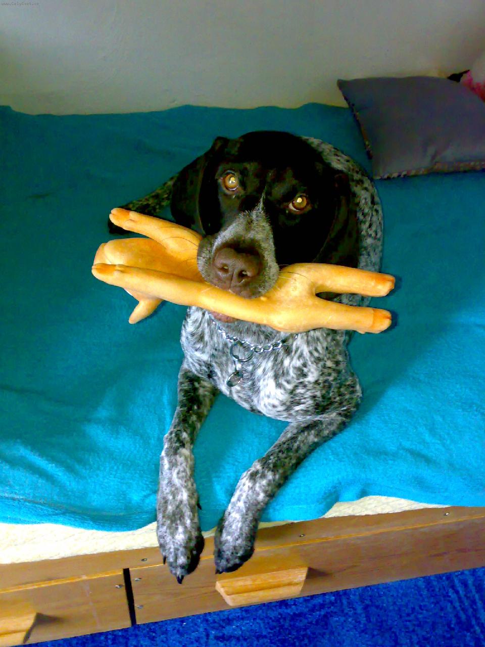 Foto: Merilyn, postelov� kr�lovna!