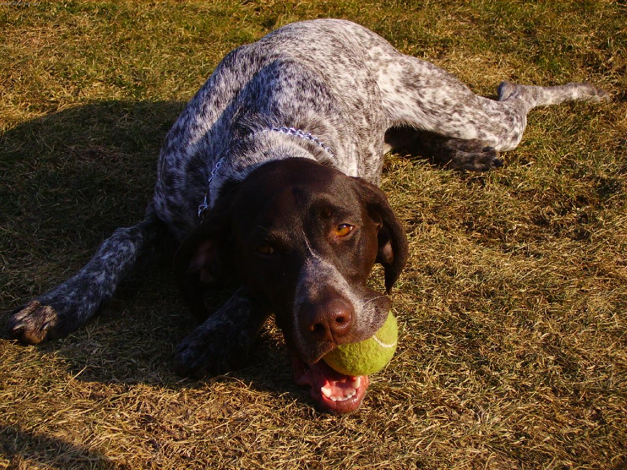 Foto: Unavenost: :-)