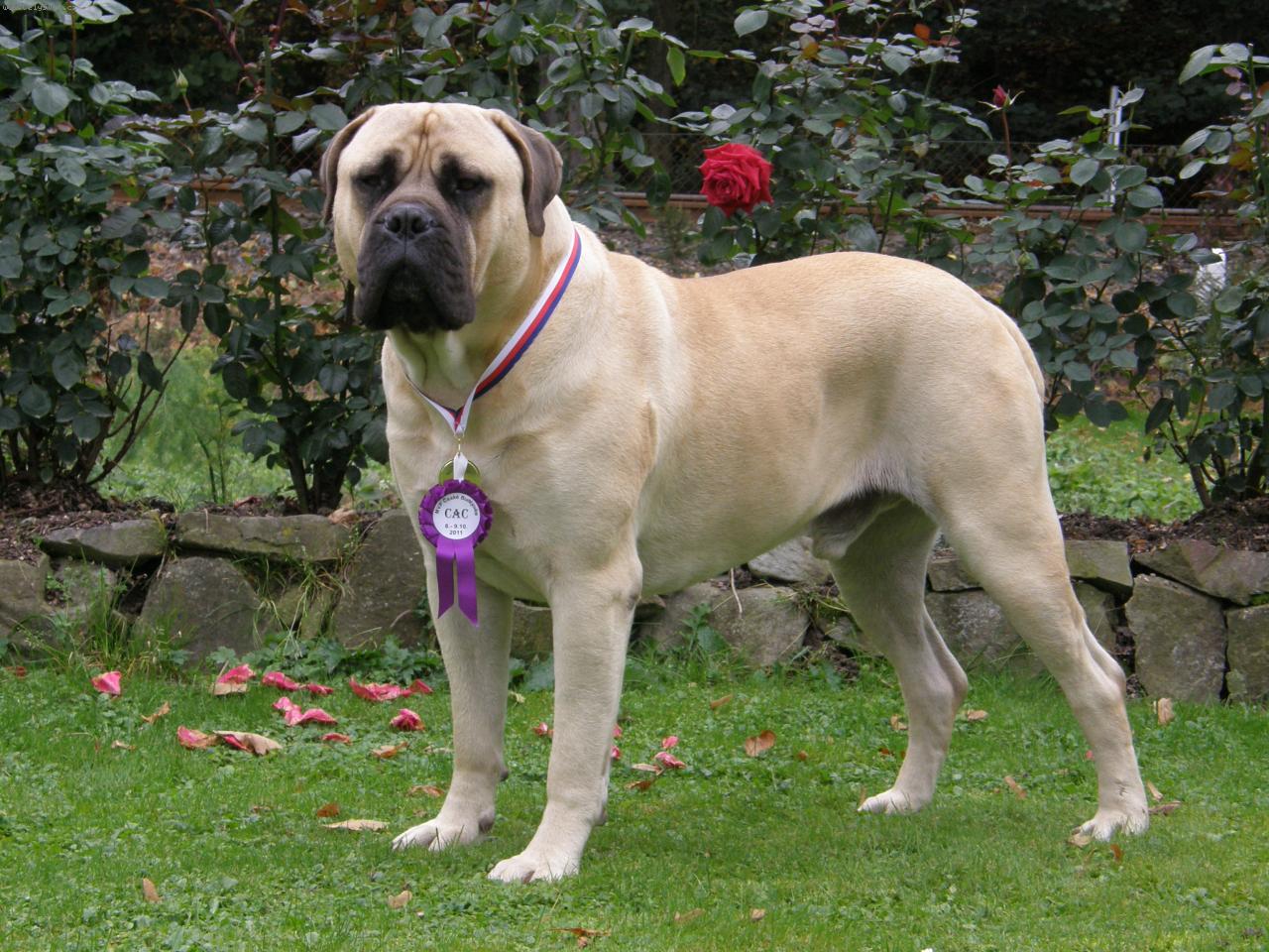 Foto: GORDON Nad�je ze Zvole