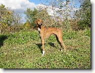 Tomboukto�s P�Aytarel