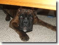 Ja to nebyl.... opravdu...