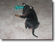 Co je? Si hraju, nevid�?