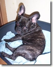 Roz�rka 5 m�s�c�