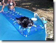 Tak si u��v�m na chat� j�!