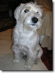 mal� b�l� kn�ra�