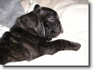 Na�e �t���tko