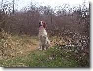 Aja-Eira z Vl��ch M�ku