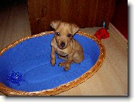 trpasli�� pin� 3 m�s�ce