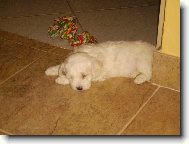 usnul n�m...sp�...