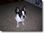 Asi jsem n�co provedla .....