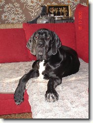 Cyrda - seda�ka je seda�ka.....