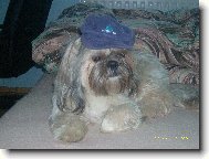 na� krasavec s �epic�