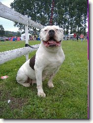 ARISSA TENESCO NERAKA