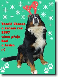 Vesel� V�noce