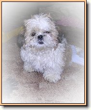 Katty-malej ��bl�k