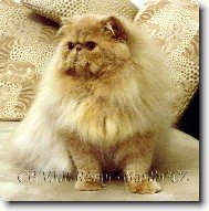 VIP R�mu-Martin*CZ