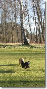 Bar�a s Alvou z T�eba�sk�ho �dol� v letu