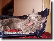 Pro� m� bud�te?