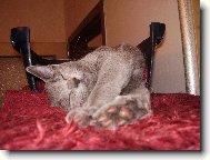 T��k jsem dlouh� :-)