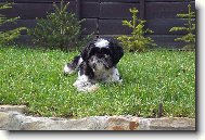 J� jsem Valdemar to kouk�te co?