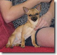 Fenri (Reino-chi ze S�dlberku)