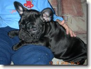 Miluju kdy� m� n�kdo hlad�.