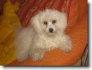 Keysi na�e zlat��ko- 6 m�s�c�