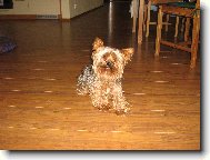 N� ps�k Tob���k