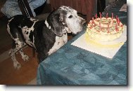 N�dhern� babi�ka Korba  Uttis CS