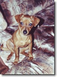 To je na�e Madlenka