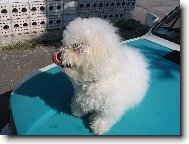 Mel�n? �lt�? Tak ten m��em