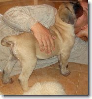 "Se�eru v�s v�ecky"