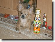 kdo je vt ja nebo on?