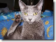 �istota p�l zdrav�!