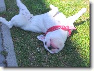 V�len� v tr�v�