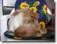 Hugo je velmi �istotn�