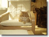 Odpoledn� odpo�inek