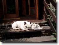 Opalov�n� s k�mo�kou.