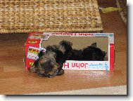 post�lka pro Rickyho