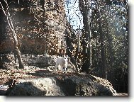 Jessynka na v�let�