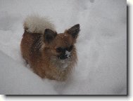 Alva z T�eba�sk�ho �dol�