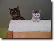 tak u� poj� sp�t!