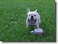 A je po fotb�lku :-)