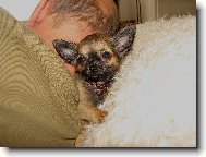 pol�t�� z �ivavy