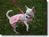 Jassinka ve svet���ku