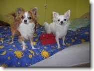 Terinka a Kry�t�fek